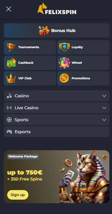 FelixSpin